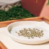Cannabis seeds spread on a ceramic plate for drying in a controlled environment