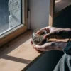 Hands holding a glass jar filled with cannabis seeds near a window under natural light.