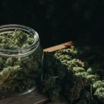Freshly harvested cannabis buds stored in an open glass jar on a wooden table with natural light