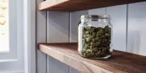 Glass jar filled with cured cannabis buds displayed on a wooden shelf near a window.