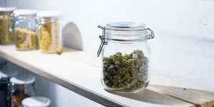 Glass jar filled with dried cannabis buds placed on a wooden shelf in a clean storage space.