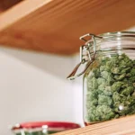A glass jar containing cured cannabis buds placed on a wooden shelf, illustrating proper storage techniques to preserve freshness, aroma, and potency.