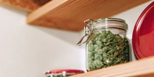 A glass jar containing cured cannabis buds placed on a wooden shelf, illustrating proper storage techniques to preserve freshness, aroma, and potency.