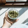 Hand holding a glass jar filled with cannabis buds under natural sunlight near a window.