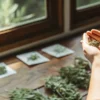 Hands carefully sorting dried cannabis herbs on a wooden table near a window with natural light