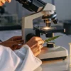 Scientist analyzing a cannabis leaf under a microscope in a modern laboratory with test tubes nearby