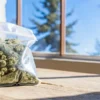 Vacuum sealed cannabis buds in a transparent bag placed on a wooden surface near a window with natural sunlight.