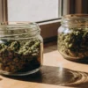 Cannabis buds stored in glass jars on a wooden surface with natural sunlight.