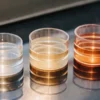 Cannabis extract samples showing color variation from clear to amber in lab containers.