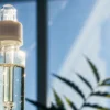 Clear cannabis oil in glass dropper vial with sunlight and plant in background.