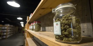 Glass jar filled with cannabis buds labeled and stored on wooden shelf.