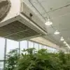 HEPA air filtration cannabis grow room unit mounted above rows of cannabis plants in a clean indoor facility.