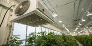 HEPA air filtration cannabis grow room unit mounted above rows of cannabis plants in a clean indoor facility.