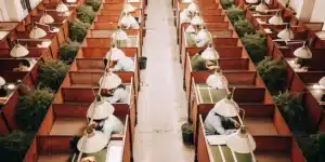 Large cannabis trimming room with workers in individual cubicles processing plants.