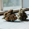 Two cannabis buds placed on a wooden surface near a window in natural light.