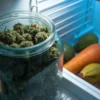 Glass jar filled with cannabis buds stored inside a refrigerator next to fresh vegetables.
