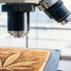 Cannabis leaf placed under a microscope for detailed laboratory analysis.