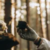 Scientist analyzing soil sample in forest environment for cannabis cultivation research.