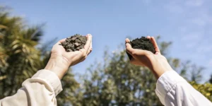Hands holding two types of soil comparing organic and rocky soil outdoors.