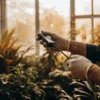 Gloved hands using a soil pH meter to test plants in a greenhouse environment.