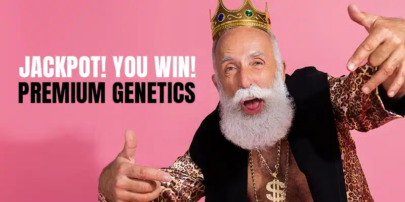 Blimburn Seeds Promo