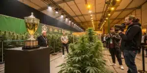 Judges, media, and attendees evaluating cannabis plants during a live cannabis cup competition.