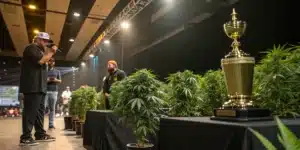 A presenter addresses the audience as premium cannabis plants are displayed next to a championship trophy during a live cannabis cup competition. The event showcases top genetics while judges and spectators observe the entries.