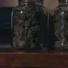Glass jars filled with cured cannabis buds stored on a wooden shelf in a dark room.