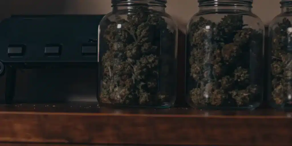 Glass jars filled with cured cannabis buds stored on a wooden shelf in a dark room.