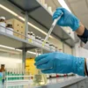 Scientist using pipette to analyze cannabis extract in laboratory flask.