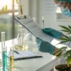 Scientist reviewing cannabis laboratory quality control documents beside cannabis plant.