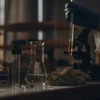 Laboratory technician handling cannabis extract samples with test tubes and microscope on a research workbench.