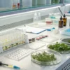 Laboratory workstation with cannabis plant samples, test tubes, and scientific analysis equipment.