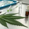 Cannabis leaf beside laboratory droppers and CBD oil bottles on stainless steel table.