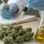 Cannabis THC Oil Laboratory Testing