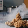Cannabis buds releasing visible vapor during VOC and terpene analysis in a laboratory environment.