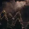 Dense cannabis buds in a dark indoor grow room with visible mist and dramatic lighting.