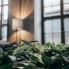 Lush indoor garden with tropical plants inside a modern luxury living space.