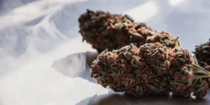 Macro shot of dark skunk cannabis buds with visible smoke on a bright surface.
