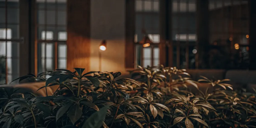 Decorative indoor plants in a stylish modern room with warm lighting.