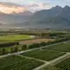 Aerial view of a large cannabis farm surrounded by mountains and forest at sunset.
