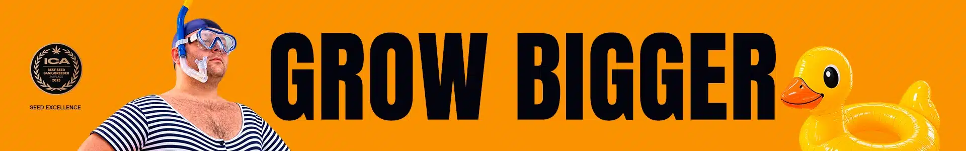 Blimburn Seeds Promo
