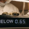 Cannabis flower quality control process displaying AW below 0.65 to ensure product safety and stability.