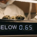 Cannabis flower quality control process displaying AW below 0.65 to ensure product safety and stability.