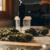 Laboratory technician performing cannabis moisture testing on flower samples using a precision probe instrument.