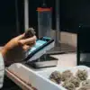 Cannabis quality control testing with a technician inspecting dried buds and recording data on a handheld device.