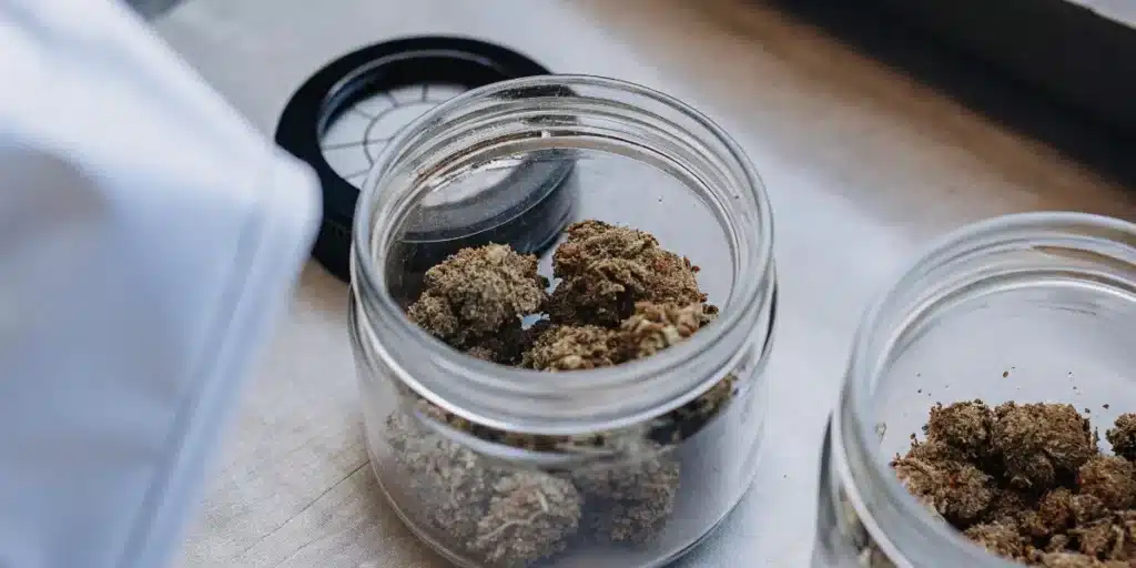 Cannabis flower samples stored in glass containers during water activity analysis and moisture testing.