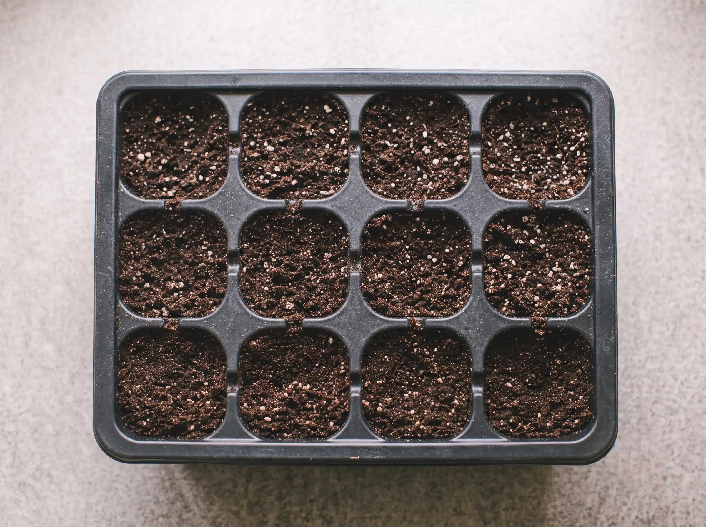 Growing medium pre-moistened