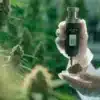 Cannabis water activity field testing with a handheld meter measuring a flower sample in a grow room.