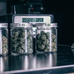 Cannabis buds stored in glass jars with different water activity levels displayed for moisture comparison and quality control.